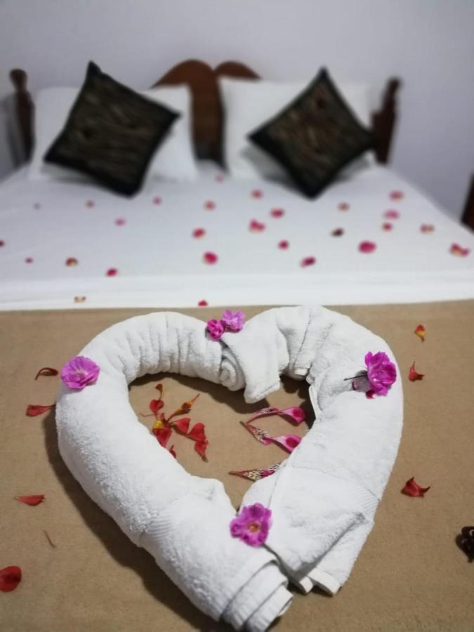 Dream Hill Homestay Νουβάρα Ελίγια Εξωτερικό φωτογραφία