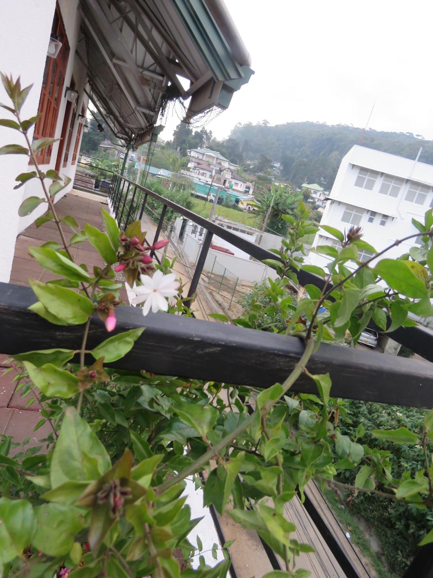 Dream Hill Homestay Νουβάρα Ελίγια Εξωτερικό φωτογραφία